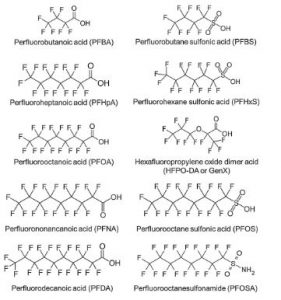 Structure of PFAS Chemicals
